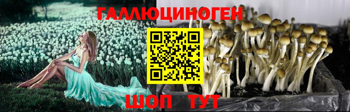 Галлюциногенные грибы прущие грибы Алексин