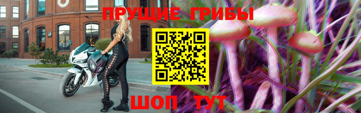 магазин    Галлюциногенные грибы Psilocybe  Алексин  Вход с VPN  Галлюциногенные грибы Psilocybe 